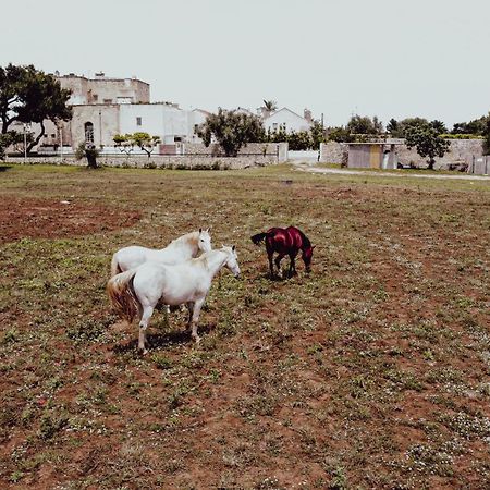 Masseria Francescani Torre Chianca Kültér fotó